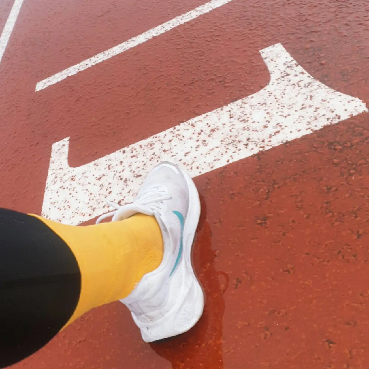 475142874_1128695428761941_55952409515063914_n.jpg?_nc_cat=104&ccb=1-7&_nc_sid=833d8c&_nc_ohc=_WhIhBu6vHYQ7kNvgEMsrQ1&_nc_zt=23&_nc_ht=scontent-ssn1-1.xx&_nc_gid=AOo5kf-kkpTvqTR-cW0VZex&oh=00_AYDDQLs-uwEAdpvdYsjOBkHKFCzAVAA78lSAx_zoazSl5g&oe=679CC9E7