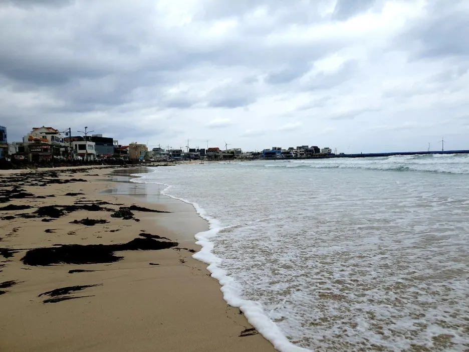 KakaoTalk_20250126_132508271_01.jpg?type=w1