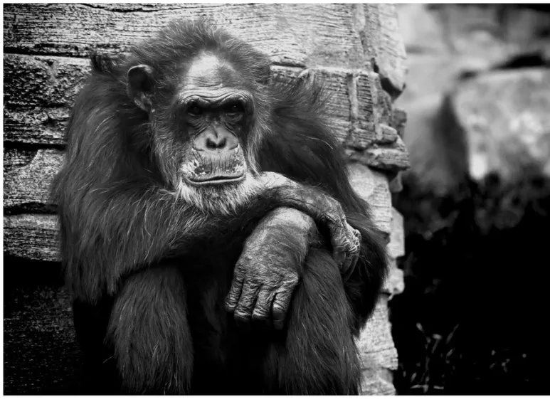 IMG_5004.jpg?type=w773