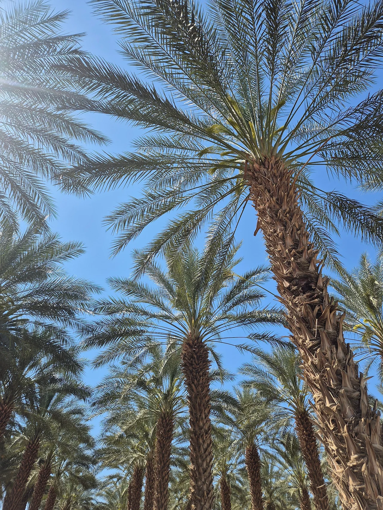 GoOnqpoa4AANFWe.jfif