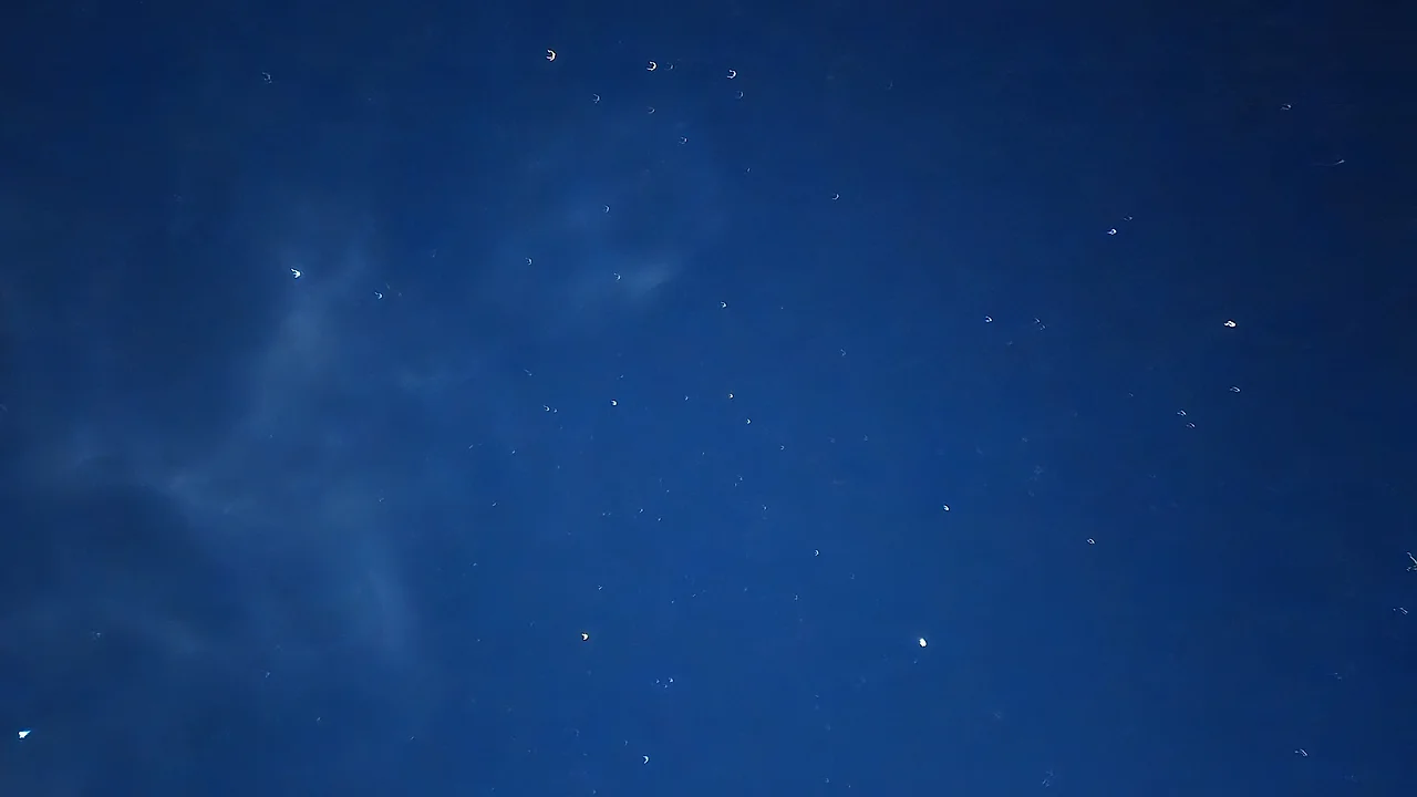 GoOywWta8AAvDBV.jfif