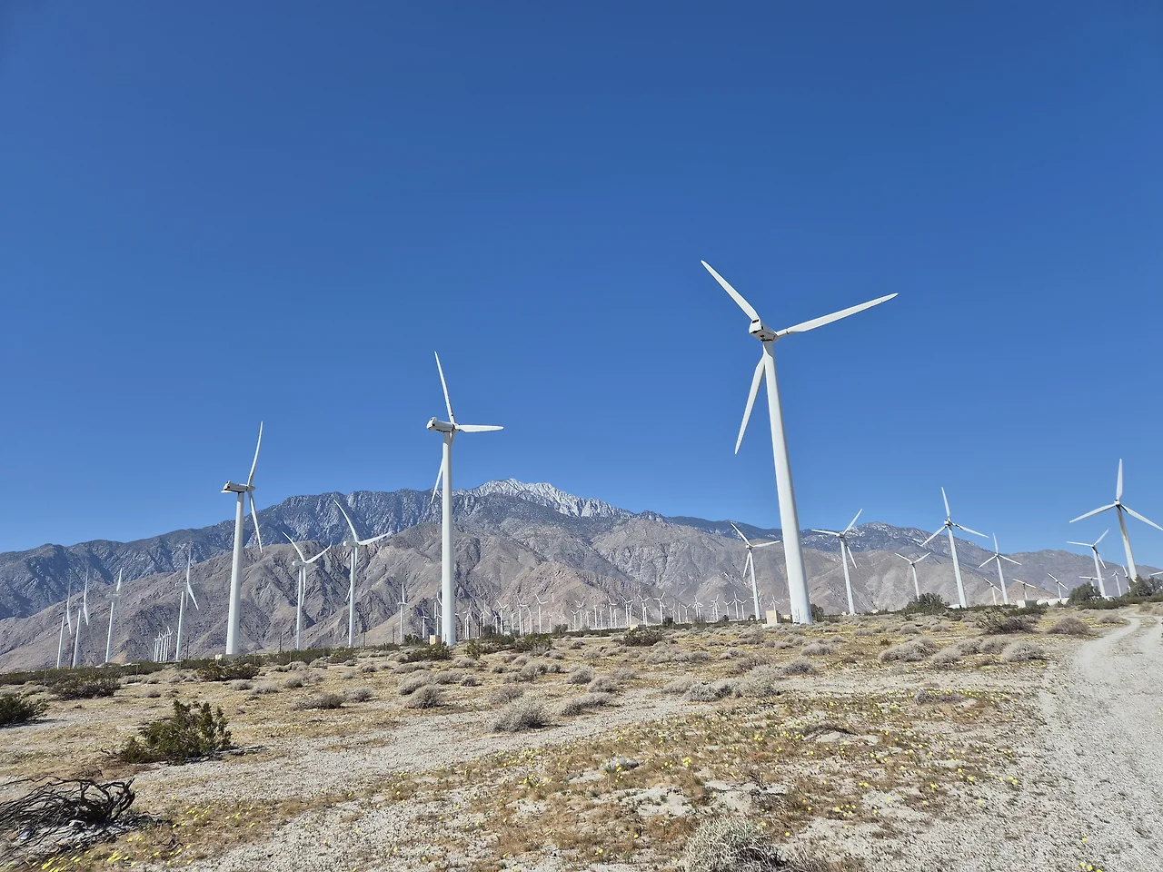 GoMzsoTbYAIBDeC.jfif