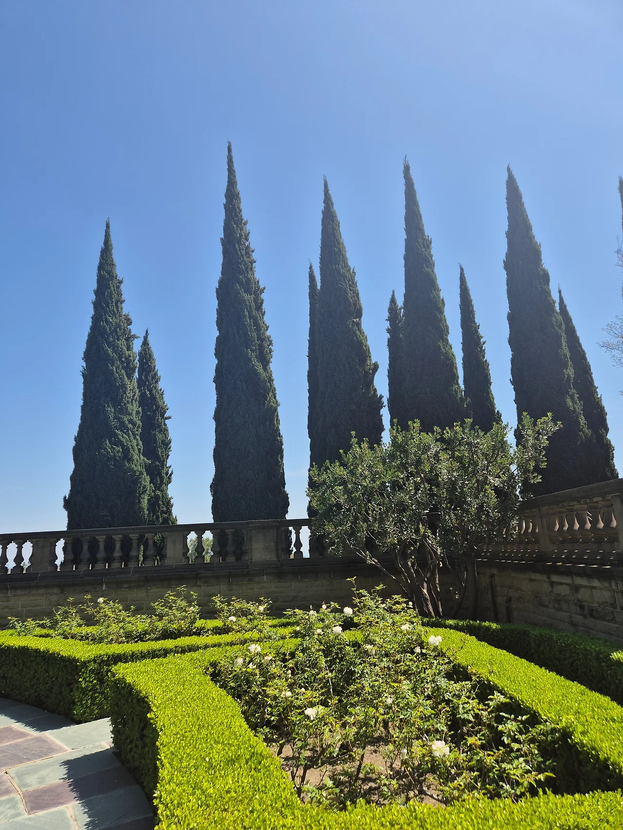 GoEevz5bwAAMjp4.jfif