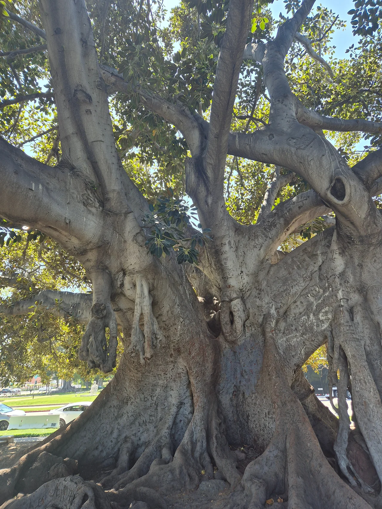 Gn5lndxbkAAxNVv.jfif