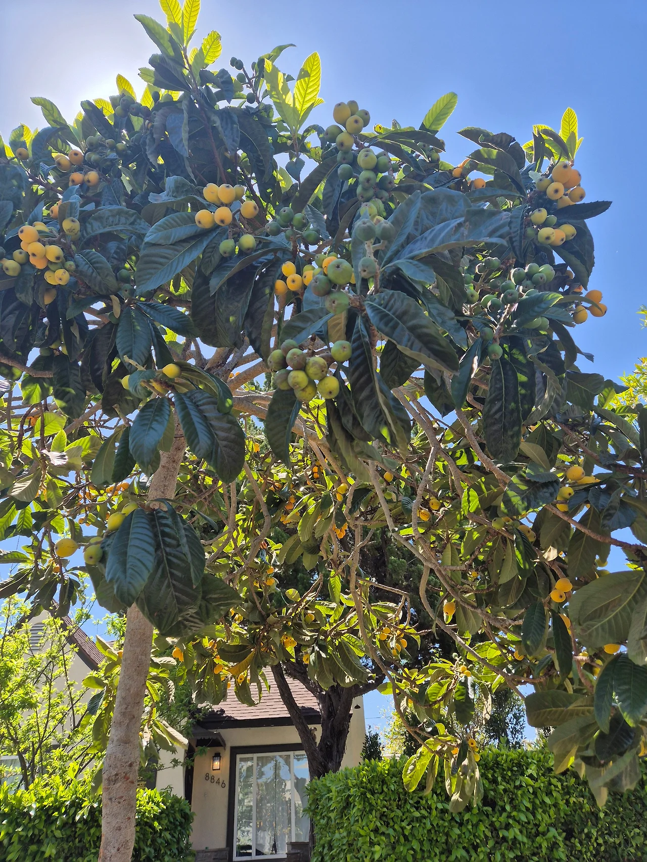 Gn5iKpwbcAAt9YD.jfif