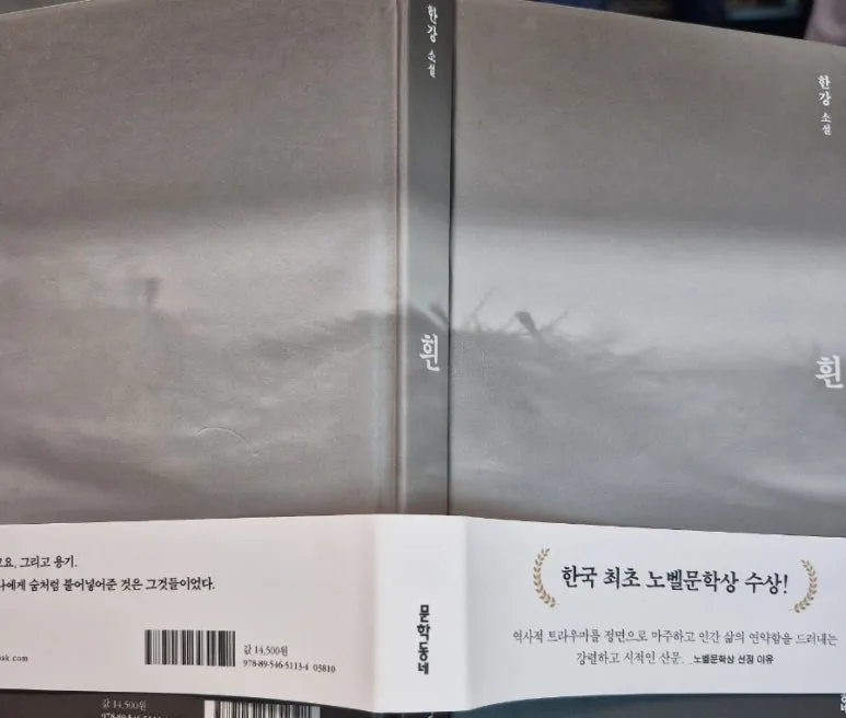 한강 작가 작품 다시 읽기 : 소년이 온다 희랍어 시간
