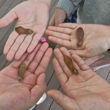 20241014%EF%BC%BF091250.jpg?type=w386