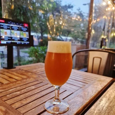 SE-39d05551-77e7-11ef-b238-91ffb1aad225.jpg?type=w386