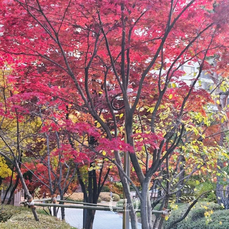 SE-1675a36e-bee2-11f0-b781-2b3f4422e7d9.jpg?type=w773