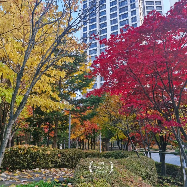 SE-1672480c-bee2-11f0-b781-f379653c3a43.jpg?type=w773