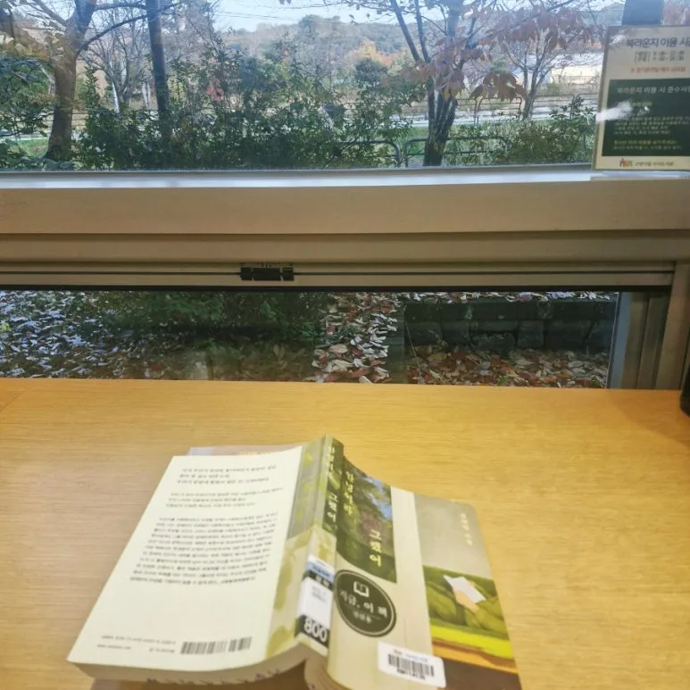 SE-d6cb03a6-baf8-11f0-b20e-01d78e26d099.jpg?type=w773