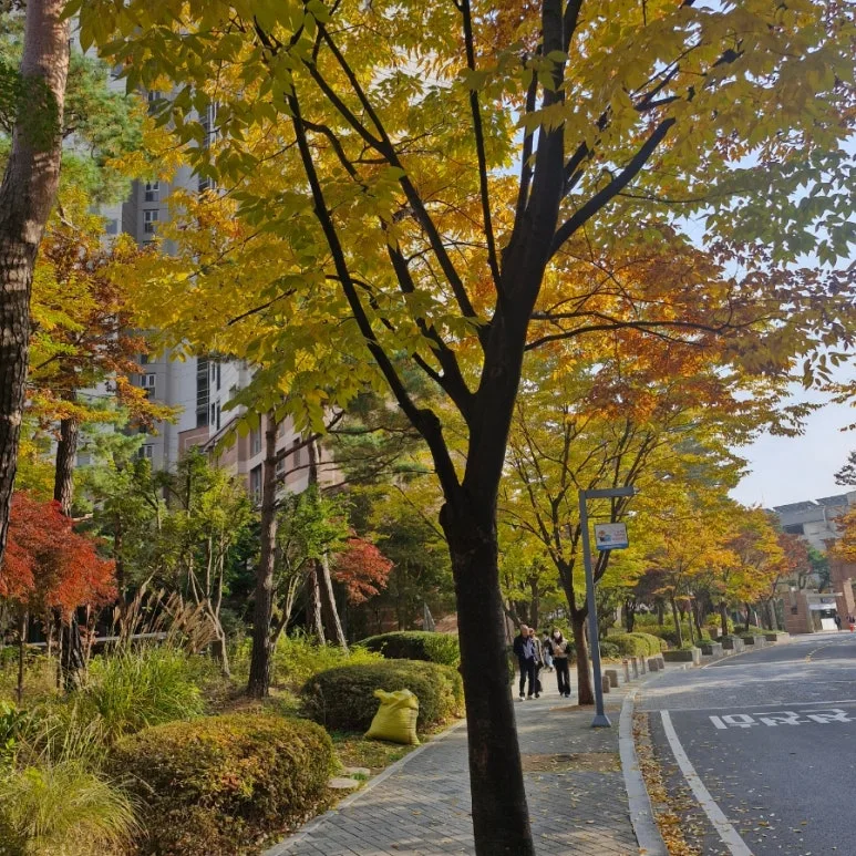 900%EF%BC%BF20251106%EF%BC%BF145307.jpg?type=w773