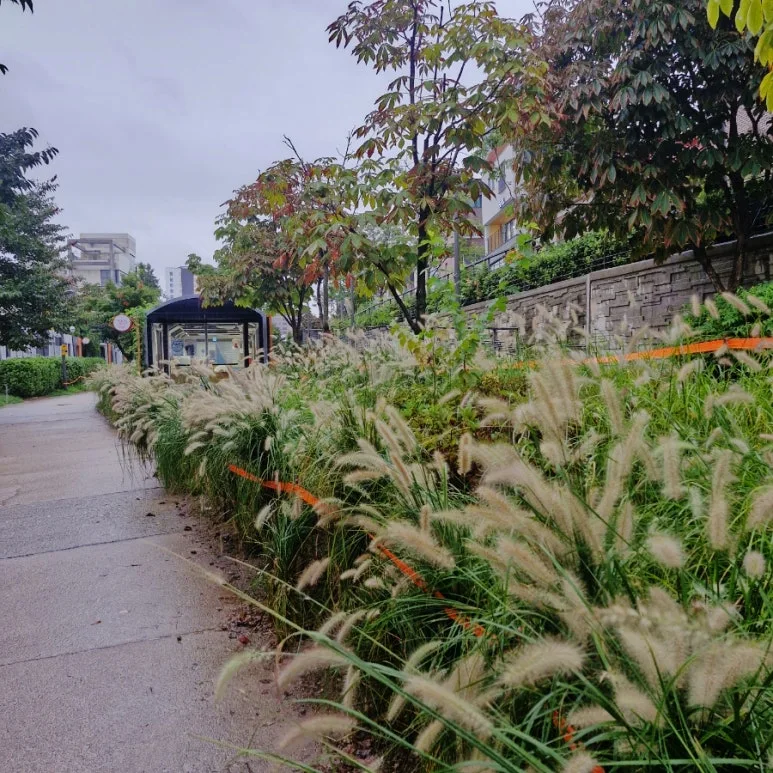 SE-39c558cc-77e7-11ef-b238-d381dbc0c2da.jpg?type=w773