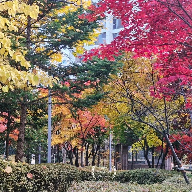 SE-1673f5bd-bee2-11f0-b781-2d91500db6fa.jpg?type=w773