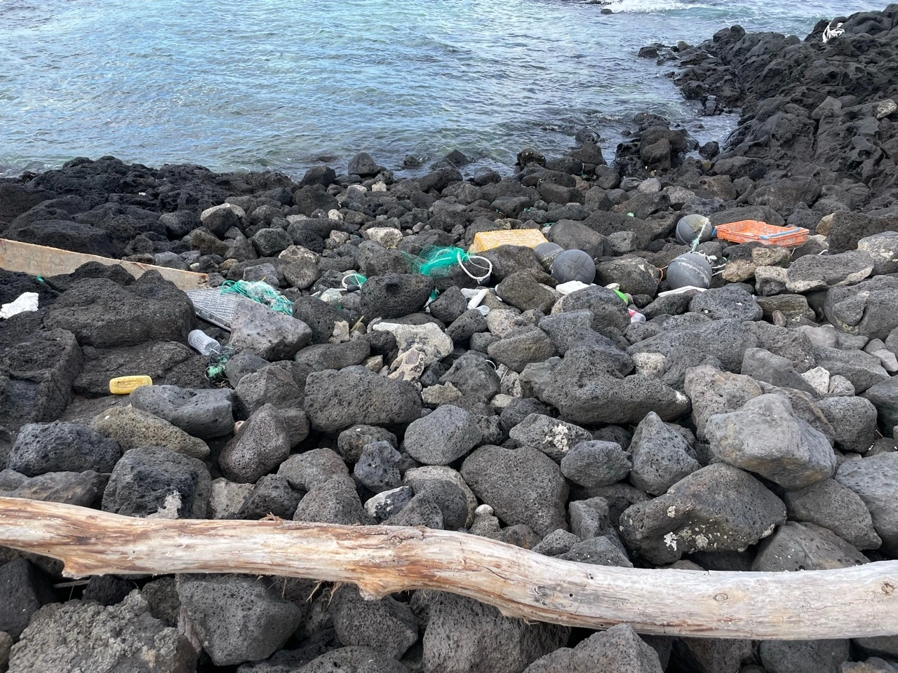 IMG_5528 크게.jpeg