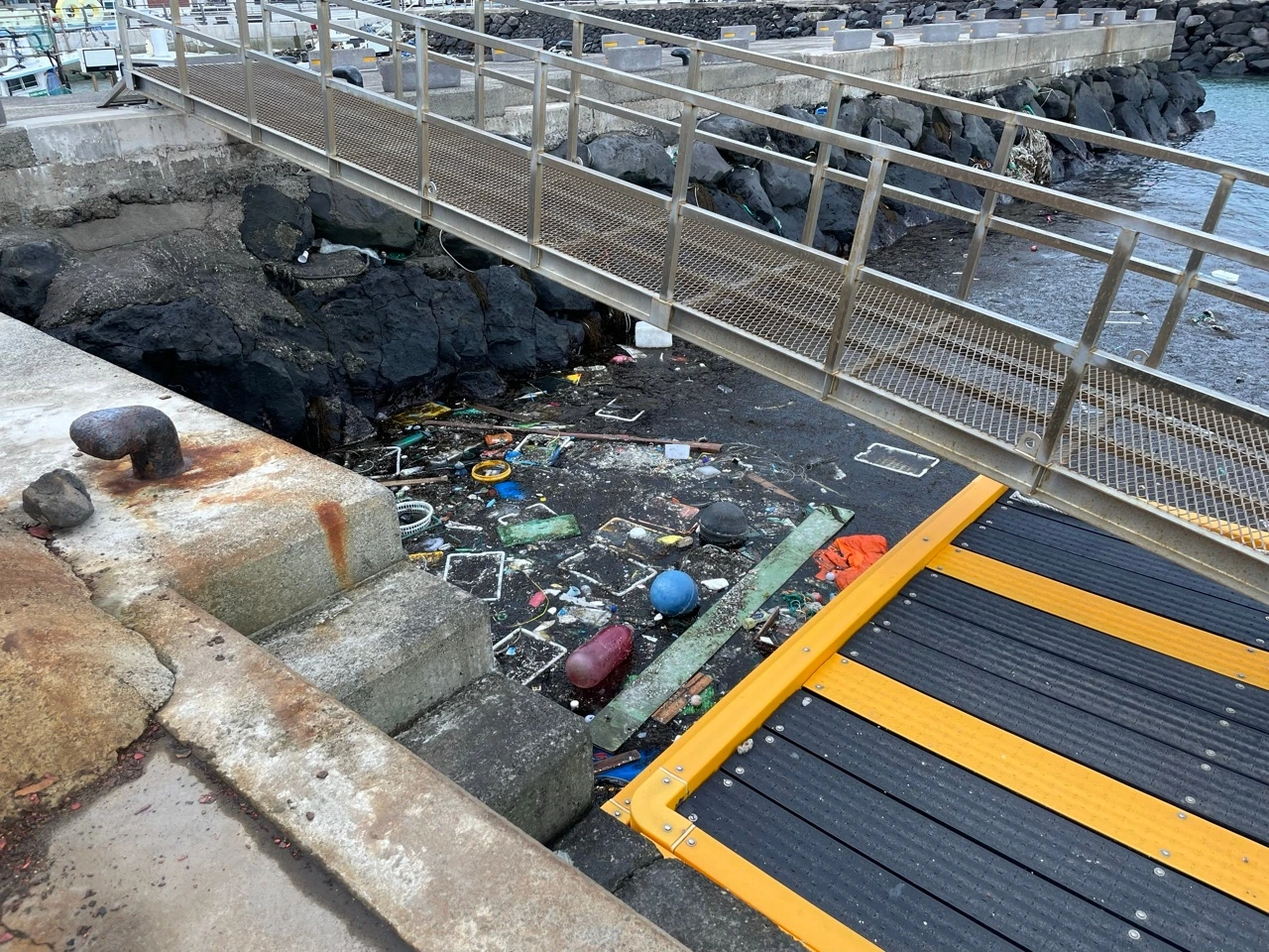 IMG_5720 크게.jpeg