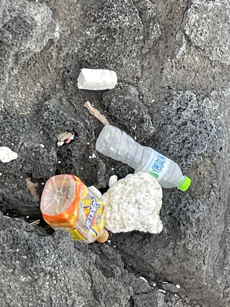 IMG_5531 크게.jpeg