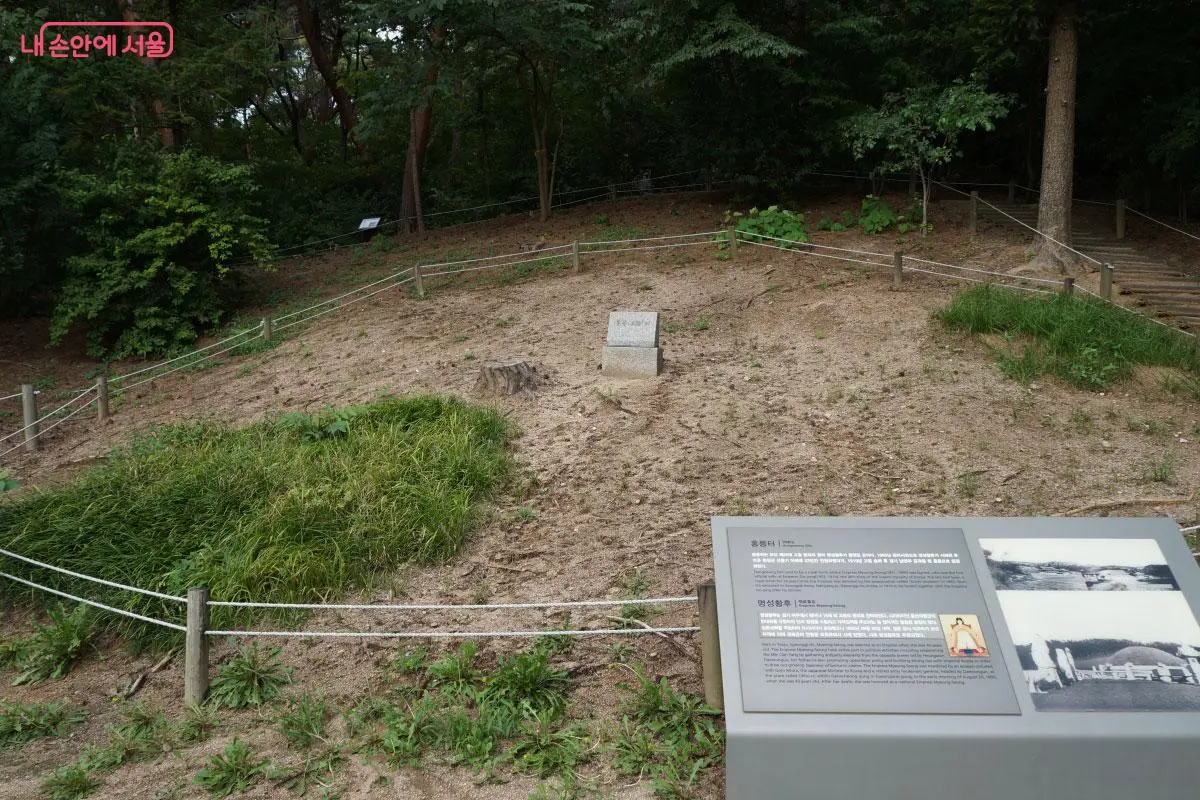 내 손안에 서울 홍혜수.jpeg