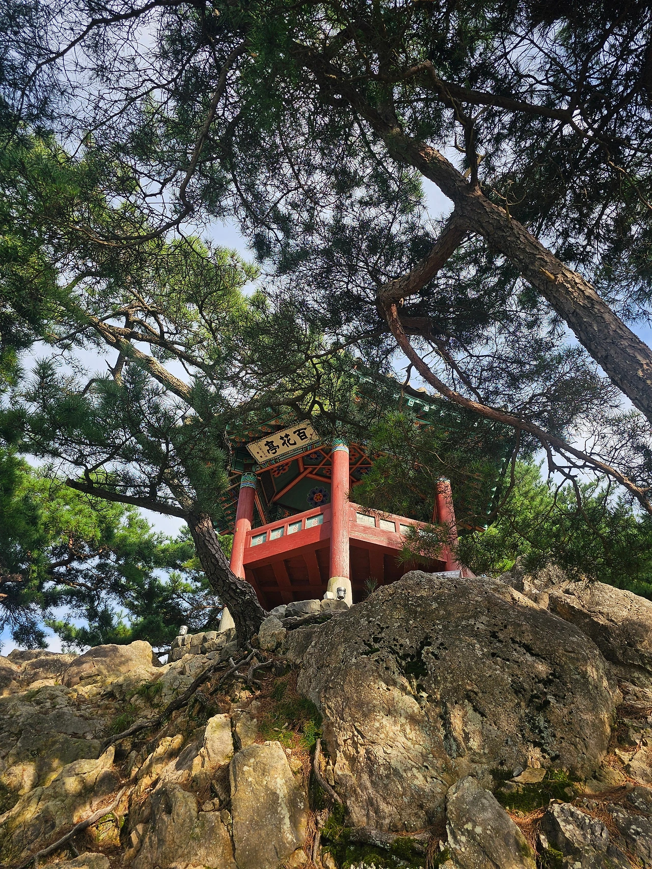 KakaoTalk_Photo_2025-09-30-09-06-02 003.jpeg