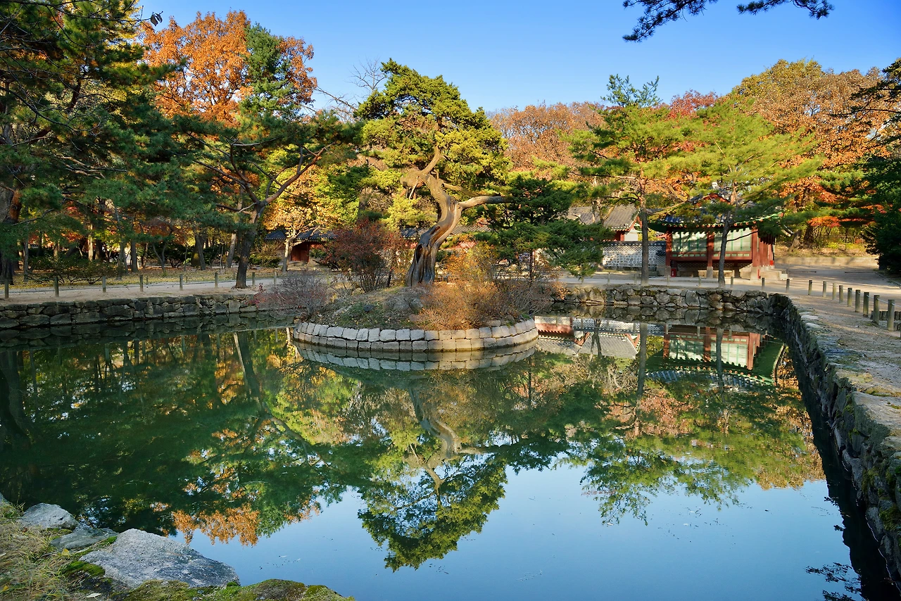 KakaoTalk_Photo_2025-12-20-20-42-03 013.jpeg