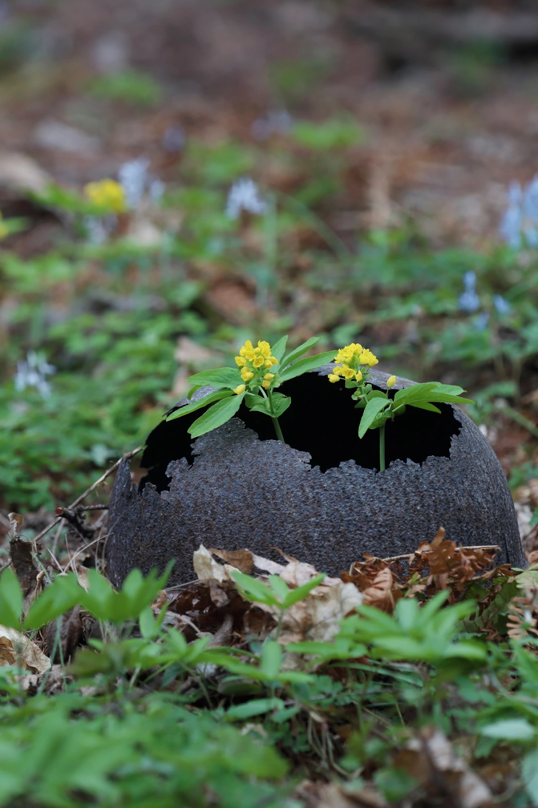 AD_4nXfbwoZcmOwH58UoWxUIIri-b4ft22LKepPrj-0nhNXnU4xGNee6mgwXHHxBTxsCF3OhdWCWM9S-8nZTN9GXJbjodg6OWi7fWiNpamdZOqhLzXjYlsqQtUkUSplXYExZjHn7Bge_yg?key=c4eRYjbsFi_5hVHYYypwjA