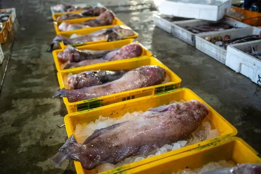 AD_4nXel3ILxayk8IXioR7AaUgWpvbxnkqFUQcv2I5lKnPdRpdzxosSR2SwXGOWkhE7uEUrSphnPX77aiOd47nhvZvg5nFRLwnHFtGM2rmuZdwEduhZItIvrhBRcbQx4AoYQPLVJUlLp5Mzi3PjPfEZWhjs?key=IvzCnmCK3a9BcQOXWnQ9lg