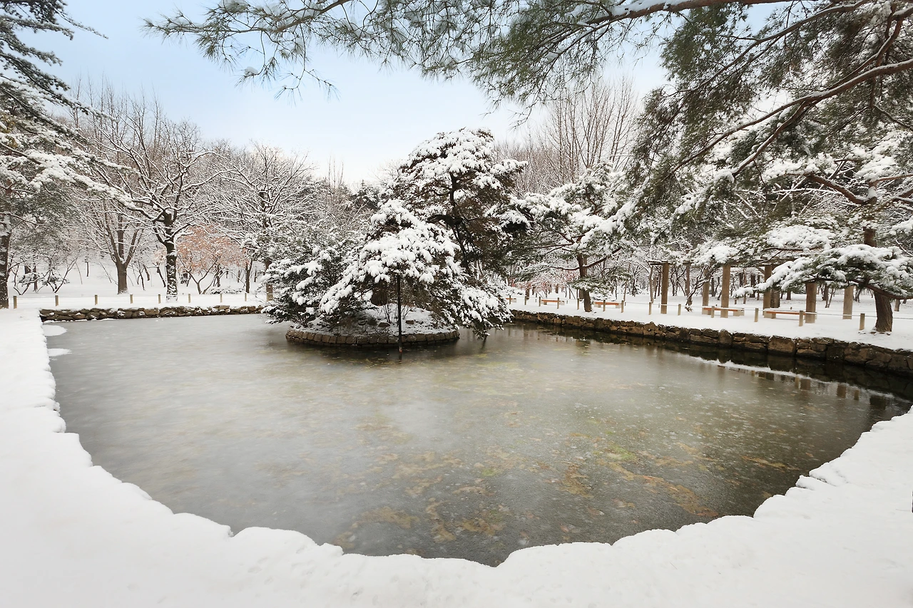 KakaoTalk_Photo_2025-12-20-20-42-07 014.jpeg