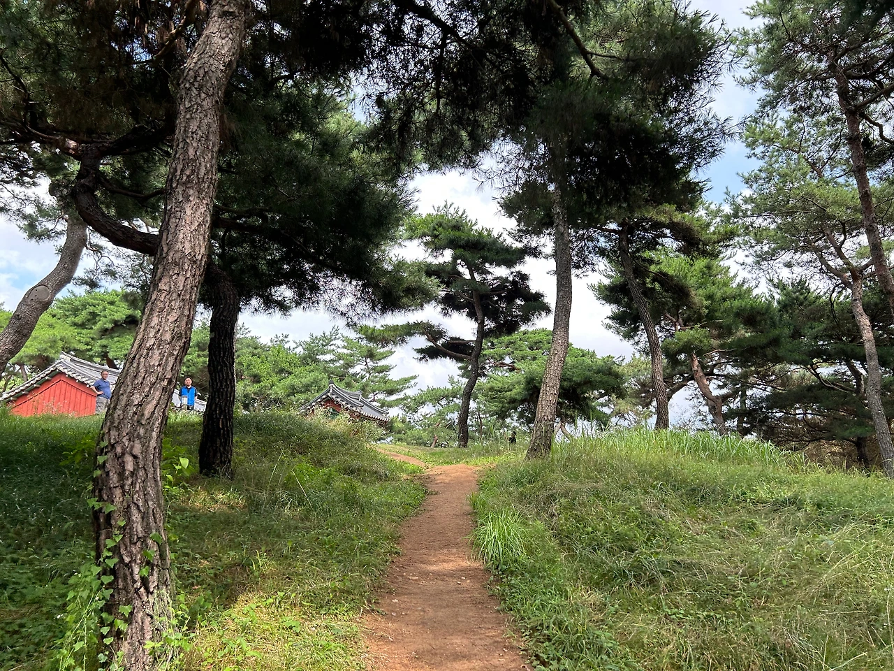 KakaoTalk_Photo_2025-09-30-09-04-58 013.jpeg