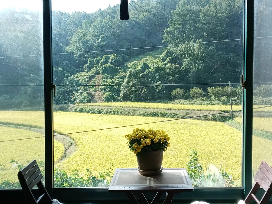 b01c8eaf0d65430ca228ff56941a56f941d5dd97