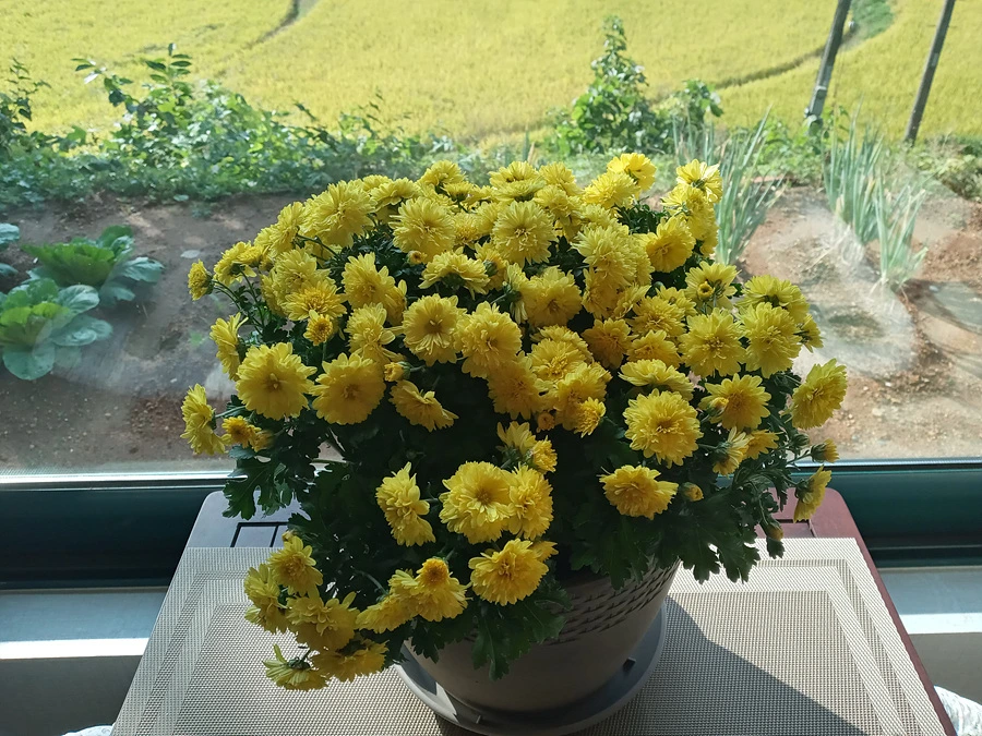 cb7a726dfbe7a4cd8e683c5bcfd093ccc5b06a7c