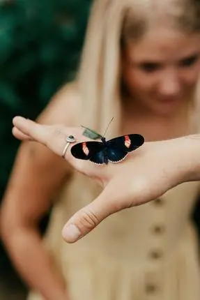 Sommerfuglehuset-BarskProjects-StatensNaturhistoriskeMuseum-42.jpg?itok=XnrV9noA