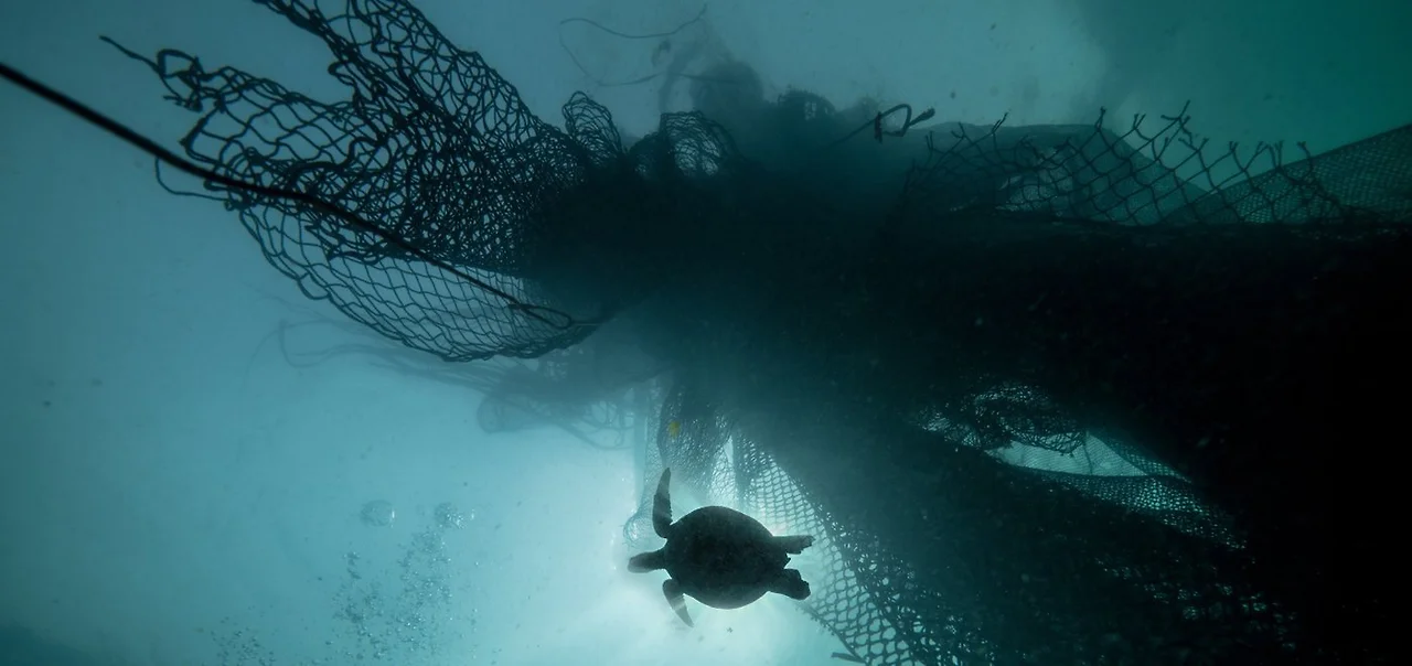 D7RRj7kWsAEhfbX.jfif