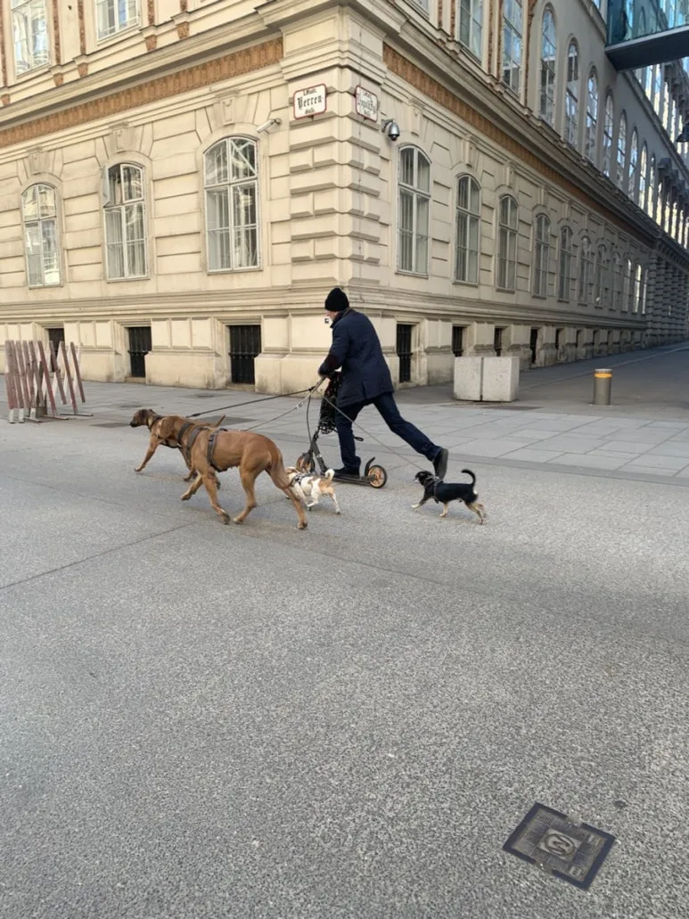 IMG_8727.jpg?type=w773