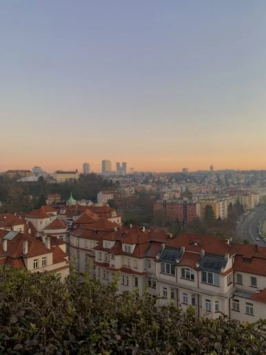 IMG_7491.jpg?type=w386