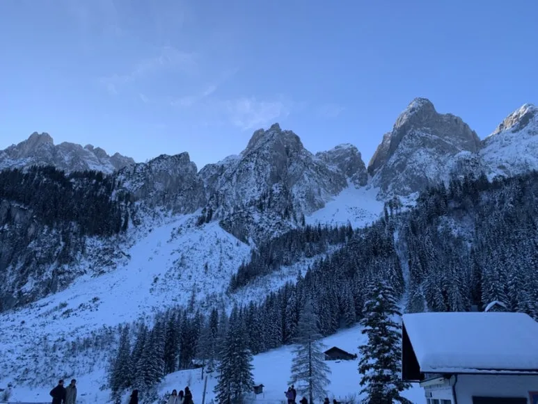 IMG_7771.jpg?type=w773