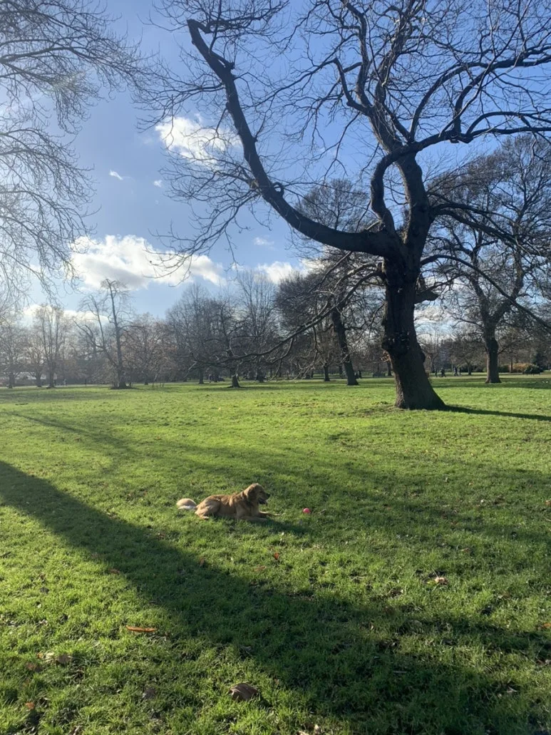 IMG_2554.jpg?type=w773