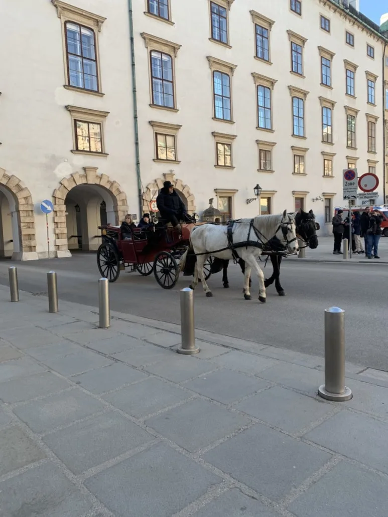 IMG_8152.jpg?type=w773