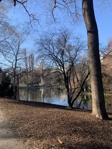 IMG_8771.jpg?type=w386