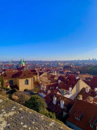 IMG_7003.jpg?type=w386