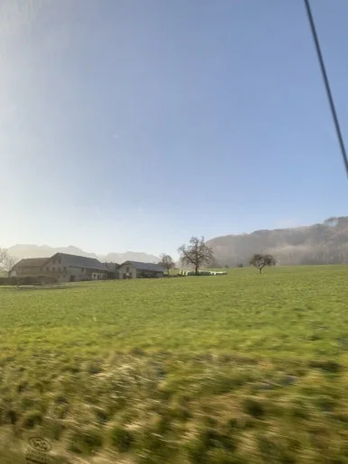 IMG_7768.jpg?type=w386