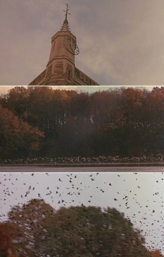 ?src=http%3A%2F%2Fblogfiles.naver.net%2F20150130_101%2Fhgfdsa94_1422561052533RFMno_JPEG%2F%25B8%25ED%25C0%25DB%25C0%25CC_%25B8%25ED%25C0%25DB%25C0%25CE_%25C0%25CC%25C0%25AF_%25C1%25D7%25C0%25BA_%25BD%25C3%25C0%25CE%25C0%25C7_%25BB%25E7%25C8%25B81_1.jpg&type=sc960_832