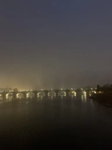 IMG_7551.jpg?type=w386