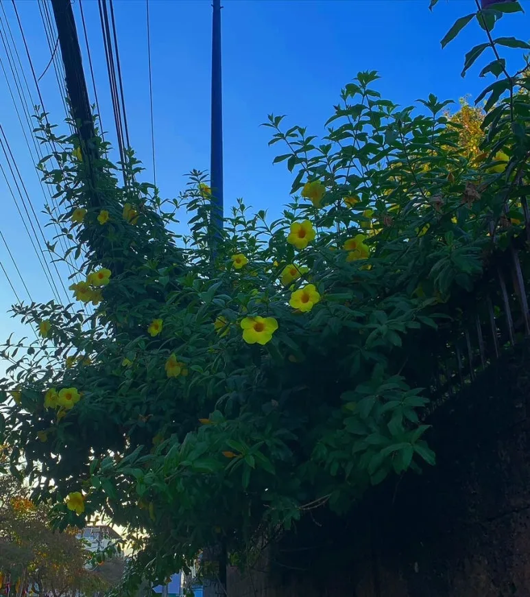 2D2BA16F-F619-46E4-B8D6-AFB5A080B0BB.jpg?type=w773