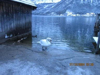 IMG_8879.JPG?type=w386