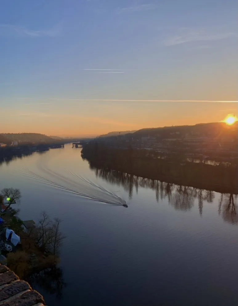 IMG_7319.jpg?type=w773