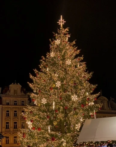 IMG_6752.jpg?type=w386