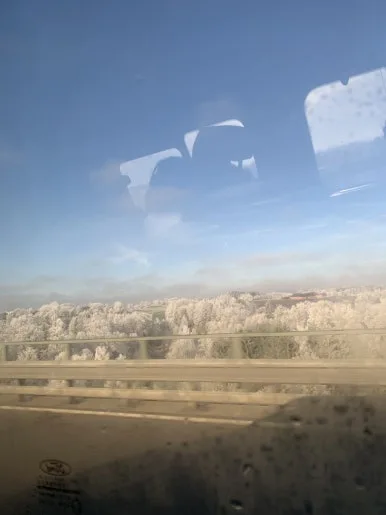 IMG_7766.jpg?type=w386