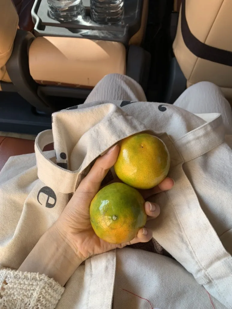 IMG_1577.jpg?type=w773