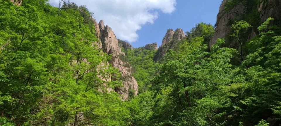 ?src=http%3A%2F%2Fblogfiles.naver.net%2FMjAyMTA2MDJfMiAg%2FMDAxNjIyNTkzOTY2ODEz.fe_ilg0MPa9hdu6LZT6ICIYkJK4hDZFJycXqCIqCkNcg.5PQlvsYHD0NeOAnfWb7t5SNZ83Haq3Pq5rb0IVrTpfog.JPEG.beautifulsorak%2F20210524_143257.JPG&type=sc960_832