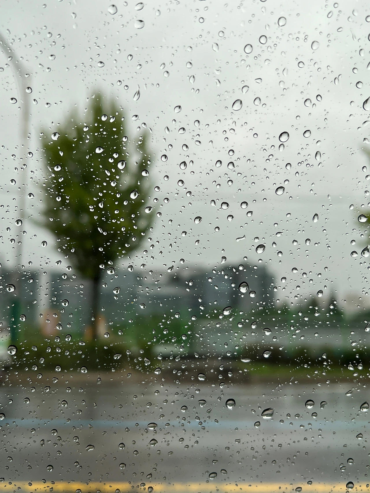 다정이툰 비오는 날.JPG